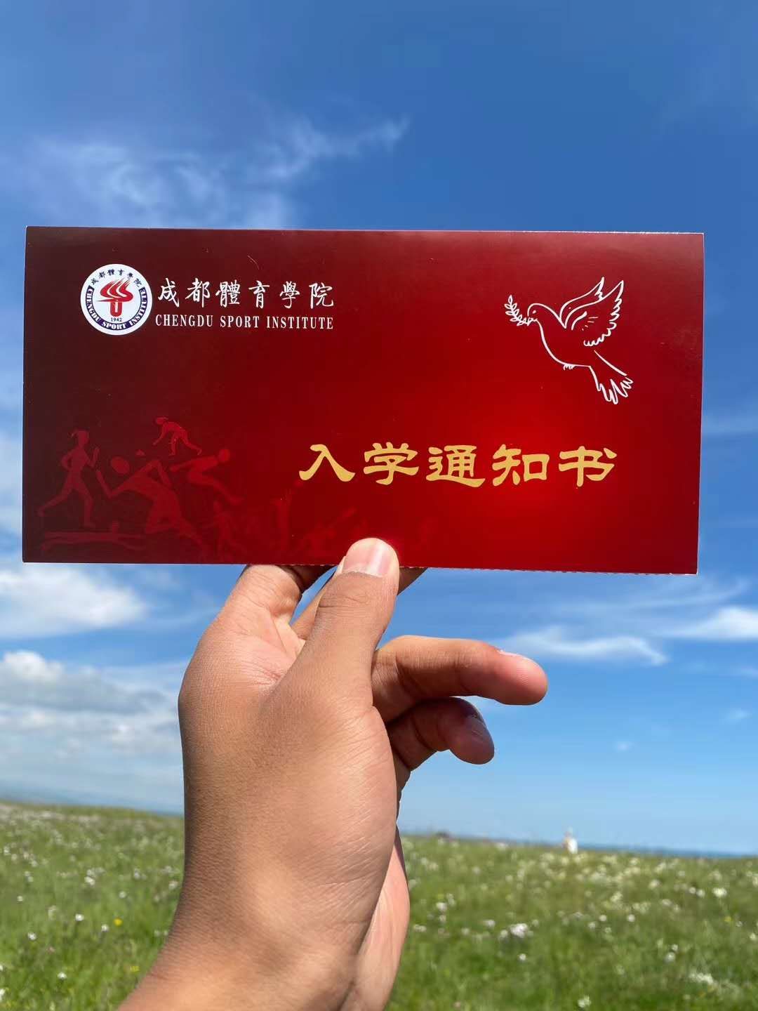 入学通知书
