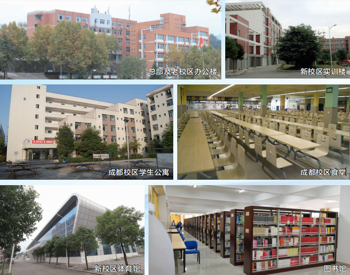体育生单招的报考条件有哪些？